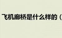 飞机廊桥是什么样的（飞机廊桥是什么意思）