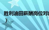 胜利油田薪酬岗位对应（胜利油田员工薪酬表）