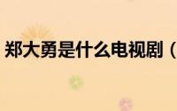 郑大勇是什么电视剧（郑大志是什么电视剧）