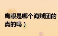 鹰眼是哪个海贼团的（鹰眼加入巴基海贼团是真的吗）