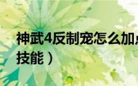 神武4反制宠怎么加点（神武4反制宠怎么配技能）