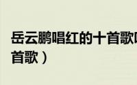岳云鹏唱红的十首歌叫什么（岳云鹏唱红的十首歌）