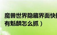 魔兽世界隐藏界面快捷键（魔兽世界隐藏的稀有魁麟怎么抓）