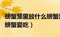 螃蟹笼里放什么螃蟹爱吃肉（螃蟹笼里放什么螃蟹爱吃）