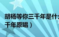 胡杨等你三千年是什么歌（歌曲胡杨林等你三千年原唱）