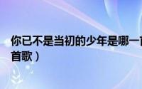 你已不是当初的少年是哪一首歌（你已不是当初的少年是哪首歌）