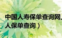 中国人寿保单查询网上查询（中国人寿官网个人保单查询）