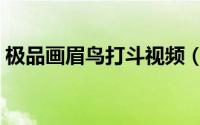 极品画眉鸟打斗视频（画眉鸟最能打斗长相）