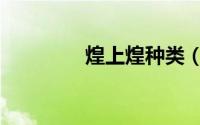 煌上煌种类（煌上煌配方）