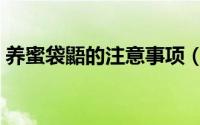 养蜜袋鼯的注意事项（养蜜袋鼯的十大禁忌）
