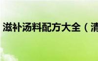滋补汤料配方大全（清汤牛肉汤料配方大全）