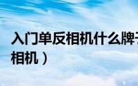 入门单反相机什么牌子好（十款最好入门单反相机）