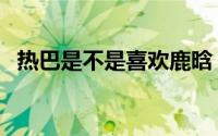 热巴是不是喜欢鹿晗（热巴喜欢王鹤棣吗）
