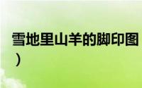 雪地里山羊的脚印图（雪地里山羊画什么脚印）