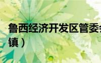 鲁西经济开发区管委会（鲁西新区包括几个乡镇）