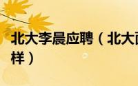 北大李晨应聘（北大面试狂人李晨后续发展咋样）