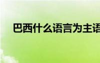 巴西什么语言为主语（巴西用什么语言）