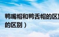 鸭嘴帽和鸭舌帽的区别图片（鸭嘴帽和鸭舌帽的区别）