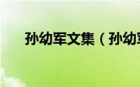 孙幼军文集（孙幼军的早期代表作是）