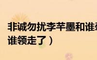 非诚勿扰李芊墨和谁牵手（非诚勿扰李芊墨被谁领走了）