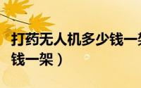 打药无人机多少钱一架合适（打药无人机多少钱一架）