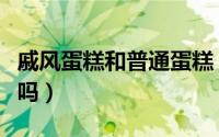 戚风蛋糕和普通蛋糕（戚风蛋糕跟蛋糕胚一样吗）