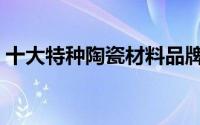 十大特种陶瓷材料品牌（十大特种陶瓷材料）
