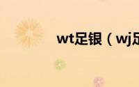 wt足银（wj足银是纯银吗）