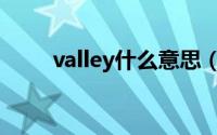 valley什么意思（valley的意思是）