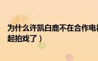 为什么许凯白鹿不在合作电视剧了（许凯和白鹿为什么不一起拍戏了）
