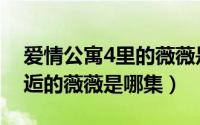 爱情公寓4里的薇薇是谁（爱情公寓4与你邂逅的薇薇是哪集）