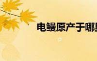 电鳗原产于哪里（电鳗历史）