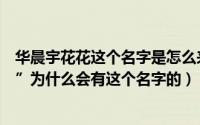 华晨宇花花这个名字是怎么来的（华晨宇被大家叫做“花花”为什么会有这个名字的）
