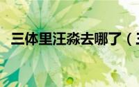 三体里汪淼去哪了（三体中汪淼最后结局）