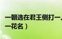 一朝选在君王侧打一人名（一朝选在君王侧打一花名）