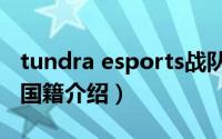 tundra esports战队（tundra战队夺冠成员国籍介绍）