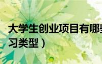 大学生创业项目有哪些项目（大学生有几种实习类型）
