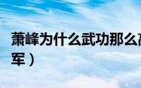 萧峰为什么武功那么高（萧峰为什么能当上将军）