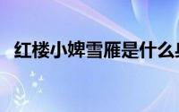 红楼小婢雪雁是什么身份（红楼小婢结局）