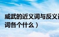 威武的近义词与反义词（威武的近义词和反义词各个什么）
