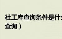 社工库查询条件是什么（社工信息资源库怎么查询）