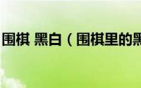 围棋 黑白（围棋里的黑白棋各代表什么意思）