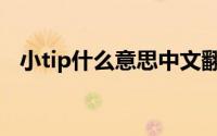 小tip什么意思中文翻译（小tip什么意思）