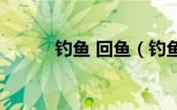 钓鱼 回鱼（钓鱼回鱼什么意思）