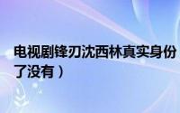 电视剧锋刃沈西林真实身份（电视剧锋刃最后沈西林到底死了没有）
