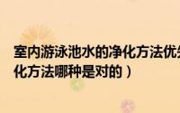 室内游泳池水的净化方法优先采用哪种方法（室内游泳池净化方法哪种是对的）