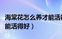 海棠花怎么养才能活得好些（海棠花怎么养才能活得好）