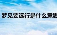 梦见要远行是什么意思（梦在远方什么意思）