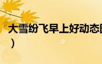 大雪纷飞早上好动态图片（大雪纷飞早安图片）