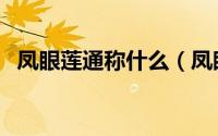 凤眼莲通称什么（凤眼莲的通称是蘑菇吗）